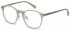 Benetton BEO1006 glasses in Light Grey