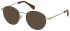 Sandro SD3000 sunglasses in Gold Tortoise