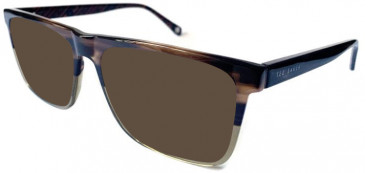 Ted Baker TB8253 sunglasses in Horn/Khaki