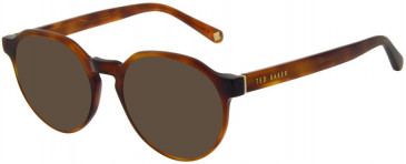 Ted Baker TB8245 sunglasses in Amber Tortoise