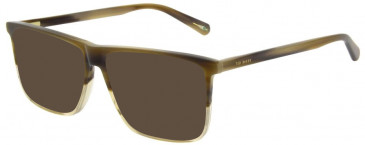 Ted Baker TB8240 sunglasses in Brown Horn
