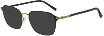 Ted Baker TB4330 sunglasses in Black/Champagne