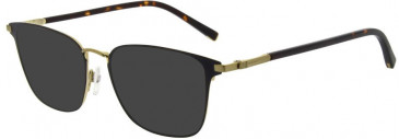Ted Baker TB4329 sunglasses in Black/Champagne