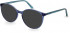 Pepe Jeans PJ3425 sunglasses in Blue