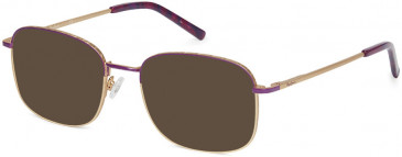 Pepe Jeans PJ1328 sunglasses in Purple