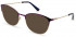 Pepe Jeans PJ1365 sunglasses in Purple/Gold