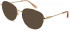 Pepe Jeans PJ1364 sunglasses in Black/Amber