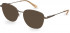 Pepe Jeans PJ1358 sunglasses in Brown