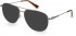 Pepe Jeans PJ1356 sunglasses in Gun