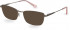 Pepe Jeans PJ1353 sunglasses in Champagne
