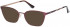 Pepe Jeans PJ1326 sunglasses in Wine