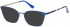Pepe Jeans PJ1326 sunglasses in Blue