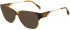 Maje MJ1034 sunglasses in Snappy Tortoise
