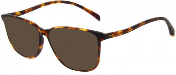 Maje MJ1032 sunglasses in Tortoise