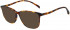 Maje MJ1032 sunglasses in Tortoise