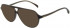 Maje MJ1031 sunglasses in Dark Grey