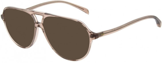Maje MJ1031 sunglasses in Mink