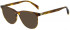 Maje MJ1030 sunglasses in Light Tortoiseshell
