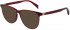 Maje MJ1030 sunglasses in Bordeaux