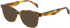 Maje MJ1024 sunglasses in Light Tortoiseshell