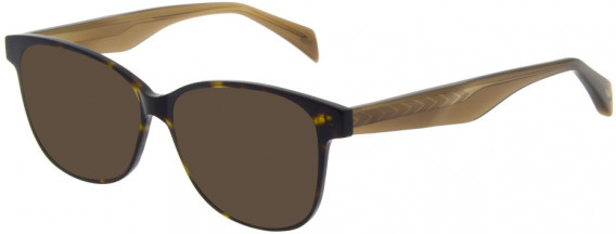 Maje MJ1024 sunglasses in Havana