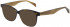 Maje MJ1024 sunglasses in Havana