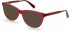 Joules JO3059 sunglasses in Milky Mulberry