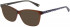 Joules JO3050 sunglasses in Crystal Brown