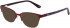 Joules JO1046 sunglasses in Burgundy