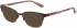 Joules JO1046 sunglasses in Brown