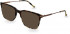 Hackett HEB273 sunglasses in Tort/Graphic Tort