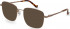 Hackett HEB271 sunglasses in Copper