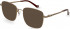 Hackett HEB271 sunglasses in Brass