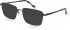 Hackett HEB270 sunglasses in Dark Gun