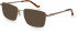 Hackett HEB270 sunglasses in Copper