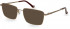 Hackett HEB270 sunglasses in Brass