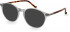 Hackett HEB268 sunglasses in Grey Utx