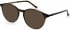 Hackett HEB268 sunglasses in Olive Horn Utx