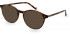 Hackett HEB268 sunglasses in Tortoise Utx