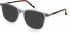 Hackett HEB267 sunglasses in Grey