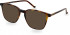 Hackett HEB267 sunglasses in Tortoise