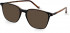 Hackett HEB267 sunglasses in Black/Horn