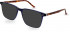 Hackett HEB264 sunglasses in Navy Utx