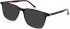 Hackett HEB264 sunglasses in Tort Utx