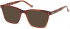 Hackett HEB255 sunglasses in Dark Tort Utx