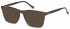 Hackett HEB253 sunglasses in Tort