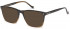 Hackett HEB253 sunglasses in Dark Horn Gradient