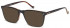 Hackett HEB253 sunglasses in Black/Horn