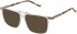 Hackett HEB252 sunglasses in Grey Utx