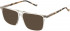 Hackett HEB252 sunglasses in Grey Utx